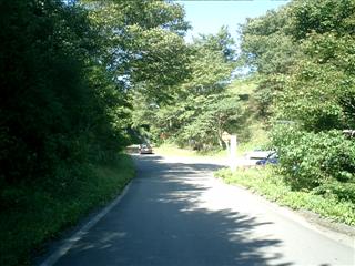 内山峠、森の中、細い車道が越えている