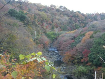 紅葉の渓谷の写真２