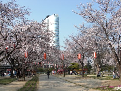 高崎公園と市役所の写真