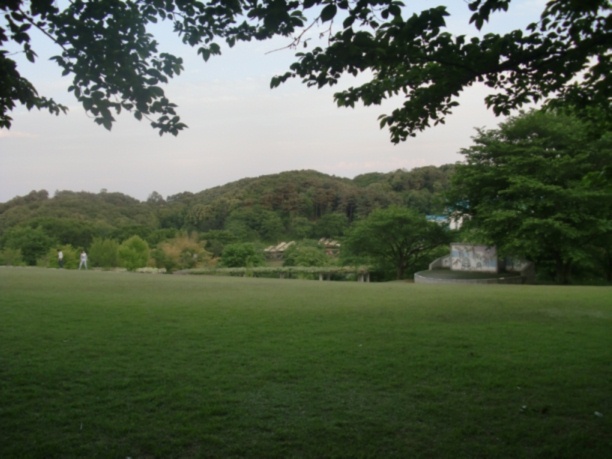 芝生の丘の写真